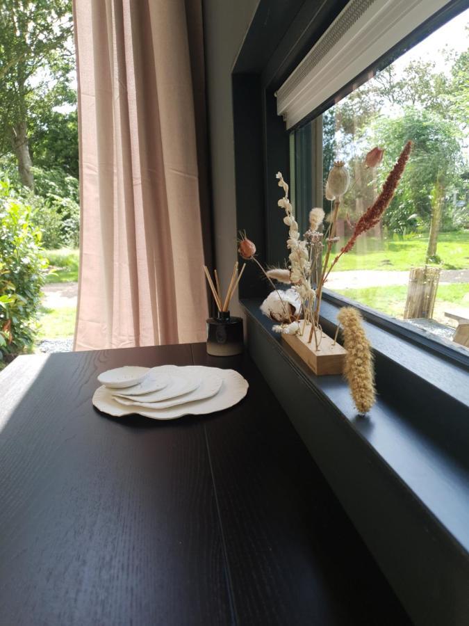Elahuizen Modern Tiny House Op Rustig Watersportpark 빌라 외부 사진